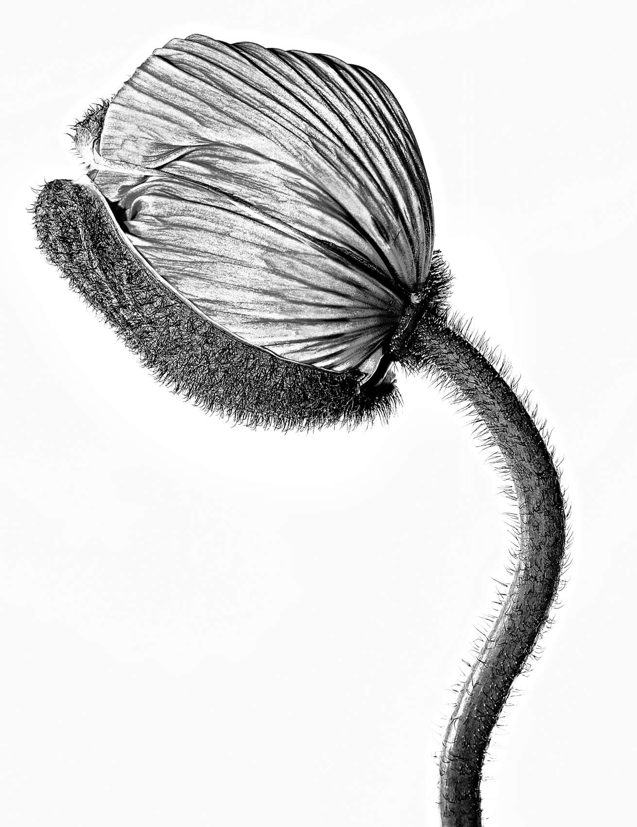 0012-4