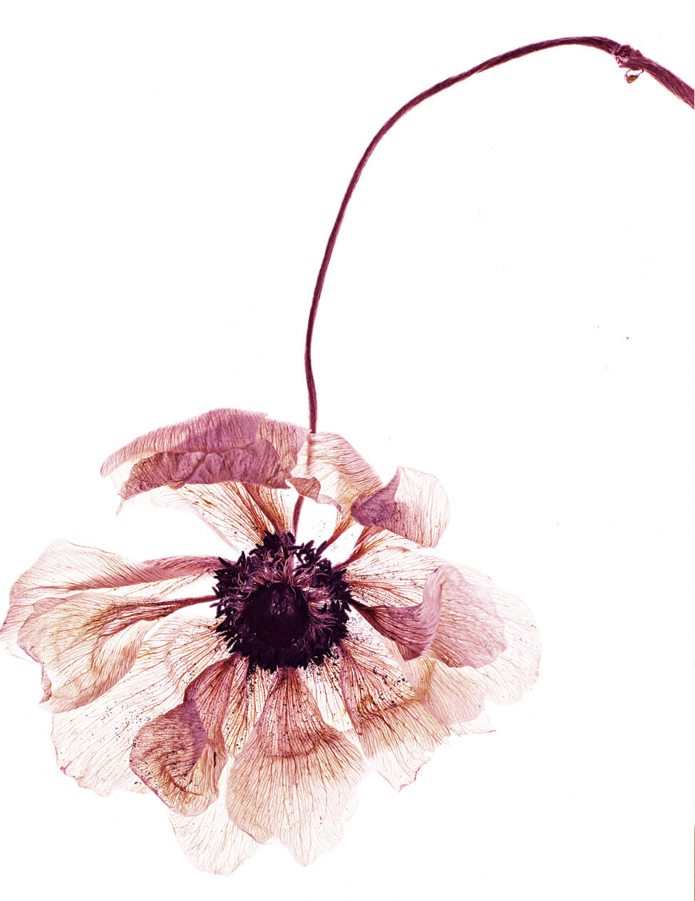 0022