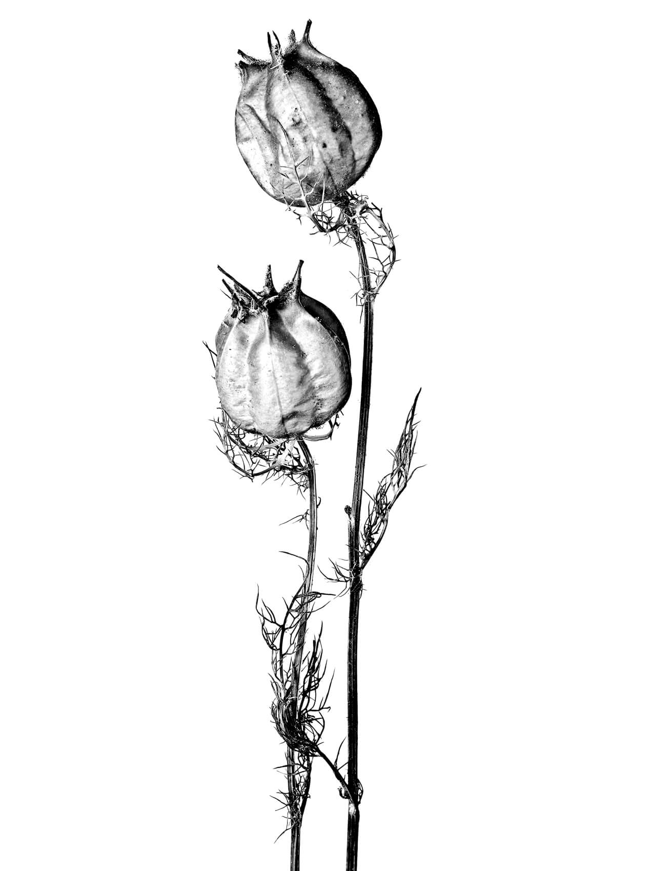 0030-4