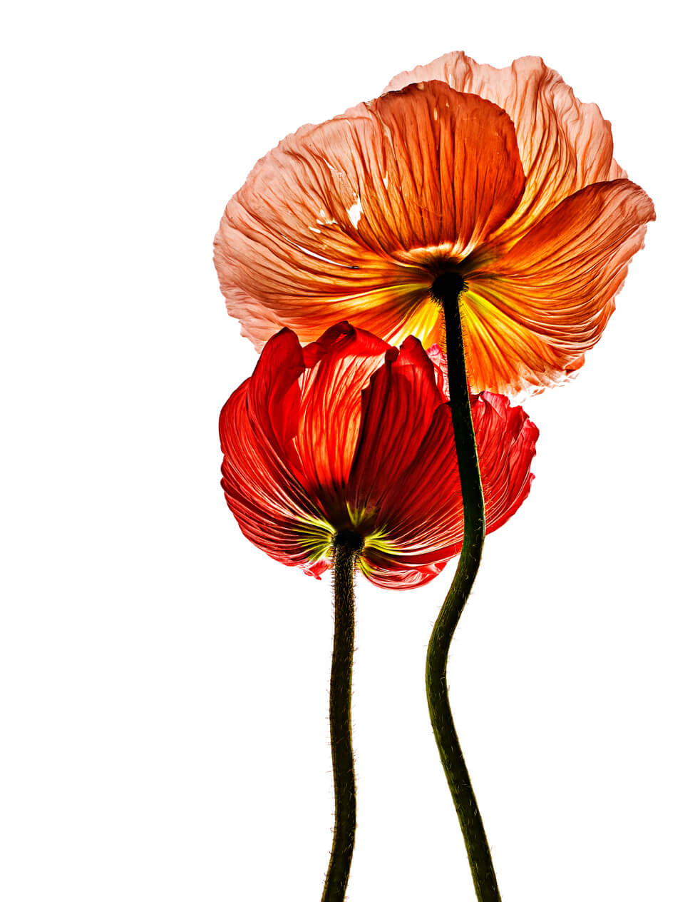 0033